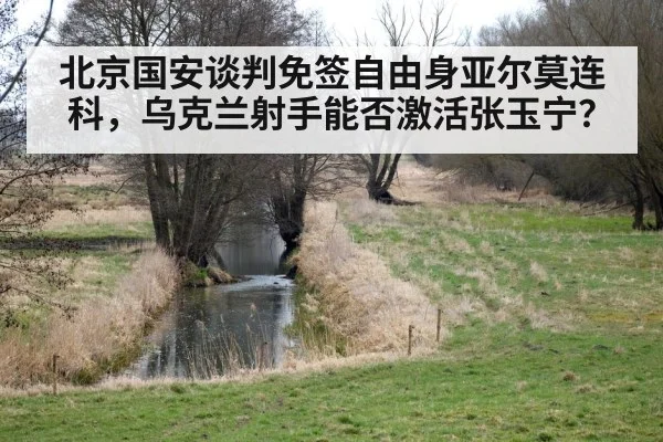 北京国安谈判免签自由身亚尔莫连科，乌克兰射手能否激活张玉宁？